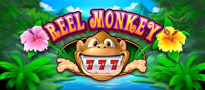 taya 777 online casino real money