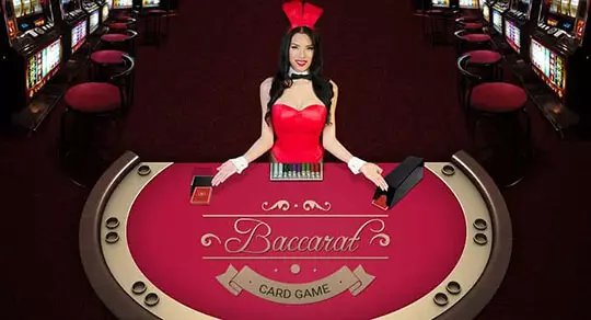 jili hot 646 casino login